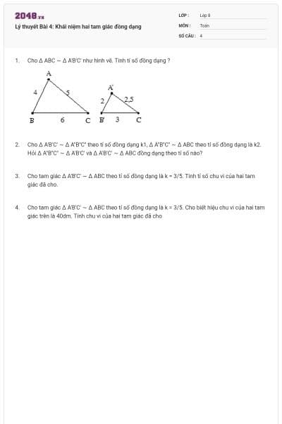 Lý thuyết Bài 4: Khái niệm hai tam giác đồng dạng