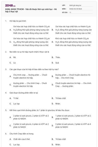 ĐGNL ĐHQG TP.HCM - Vấn đề thuộc lĩnh vực sinh học - Hô hấp ở thực vật