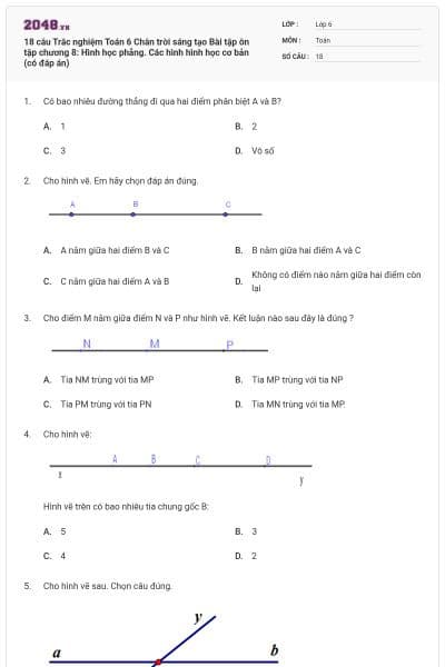 18 câu Trắc nghiệm Toán 6 Chân trời sáng tạo Bài tập ôn tập chương 8: Hình học phẳng. Các hình hình học cơ bản (có đáp án)