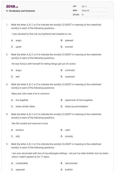 II. Vocabulary and Grammar