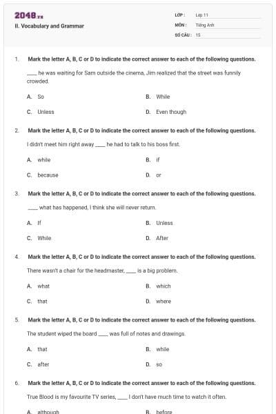 II. Vocabulary and Grammar