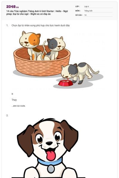 14 câu Trắc nghiệm Tiếng Anh 6 Unit Starter : Hello - Ngữ pháp: Đại từ chủ ngữ - Right on có đáp án