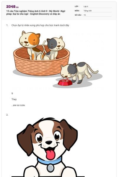 15 câu Trắc nghiệm Tiếng Anh 6 Unit 0 : My World -Ngữ pháp: Đại từ chủ ngữ - English Discovery có đáp án