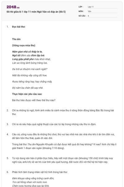 Đề thi giữa kì 1 lớp 11 môn Ngữ Văn có đáp án (Đề 5)