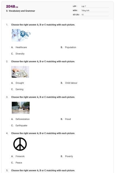 II. Vocabulary and Grammar