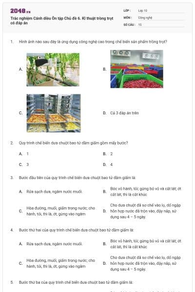 Trắc nghiệm Cánh diều Ôn tập Chủ đề 6. Kĩ thuật trồng trọt có đáp án