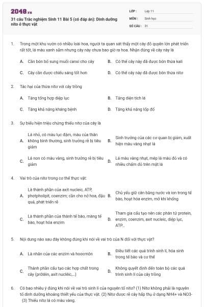 31 câu Trắc nghiệm Sinh 11 Bài 5 (có đáp án): Dinh dưỡng nito ở thực vật