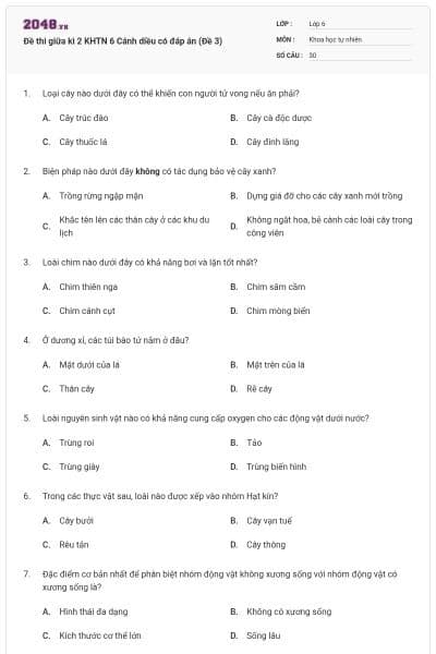 Đề thi giữa kì 2 KHTN 6 Cánh diều có đáp án (Đề 3)