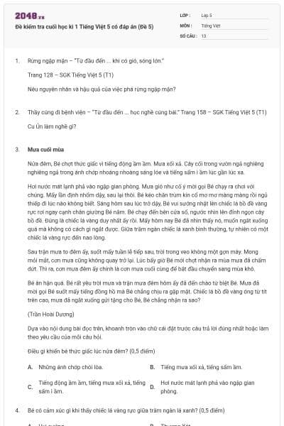 Đề kiểm tra cuối học kì 1 Tiếng Việt 5 có đáp án (Đề 5)