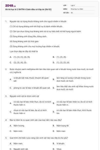 Đề thi học kì 2 KHTN 6 Cánh diều có đáp án (Đề 02)