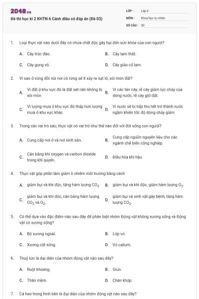 Đề thi học kì 2 KHTN 6 Cánh diều có đáp án (Đề 03)