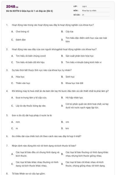 Đề thi KHTN 6 Giữa học kì 1 có đáp án (Đề 6)
