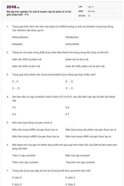 Bài tập trắc nghiệm Cơ chế di truyền cấp độ phân tử có lời giải (nhận biết - P1)