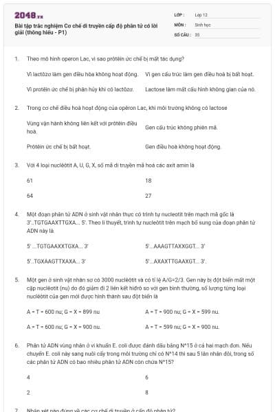 Bài tập trắc nghiệm Cơ chế di truyền cấp độ phân tử có lời giải (thông hiểu - P1)