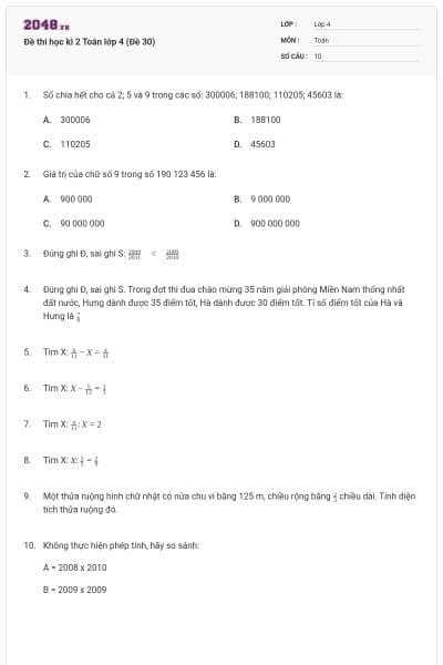 Đề thi học kì 2 Toán lớp 4 (Đề 30)