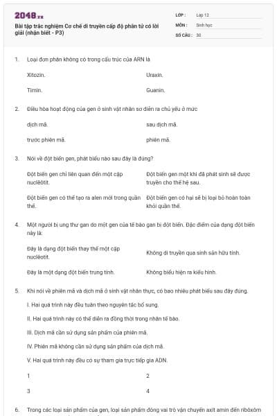 Bài tập trắc nghiệm Cơ chế di truyền cấp độ phân tử có lời giải (nhận biết - P3)