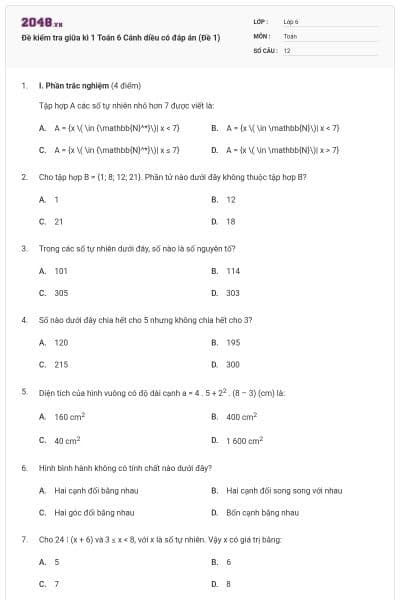 Đề kiểm tra giữa kì 1 Toán 6 Cánh diều có đáp án (Đề 1)