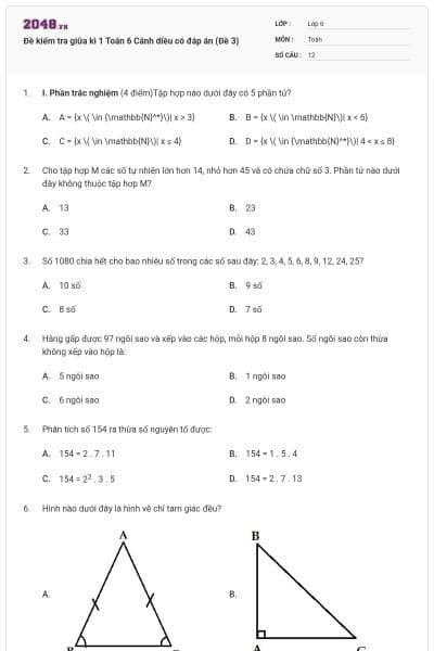 Đề kiểm tra giữa kì 1 Toán 6 Cánh diều có đáp án (Đề 3)