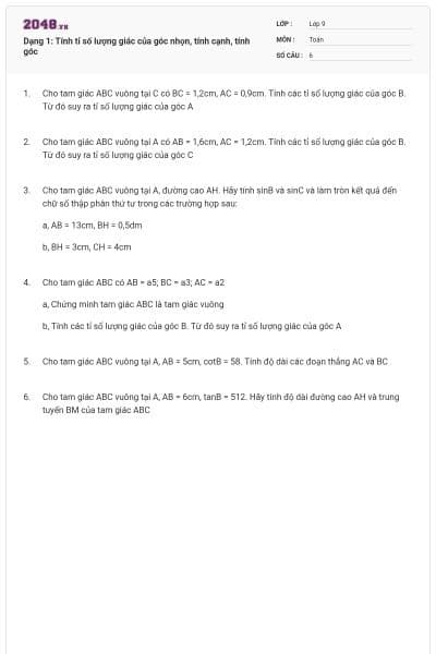 Dạng 1: Tính tỉ số lượng giác của góc nhọn, tính cạnh, tính góc