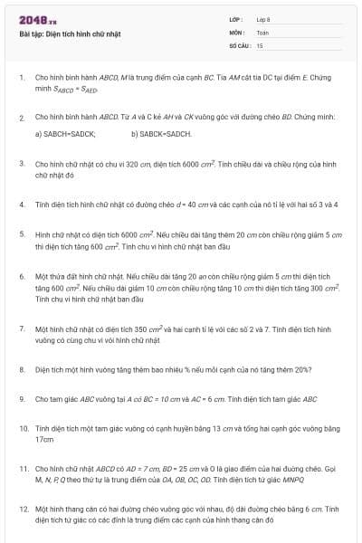 Bài tập: Diện tích hình chữ nhật