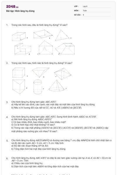 Bài tập: Hình lăng trụ đứng