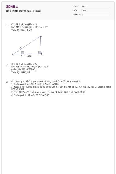 Đề kiểm tra chuyên đề 3 (Đề số 2)