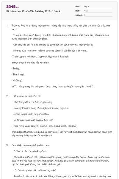 Đề thi vào lớp 10 môn Văn Đà Nẵng 2018 có đáp án