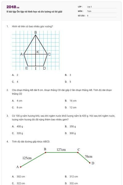 8 bài tập Ôn tập về hình học và đo lường có lời giải
