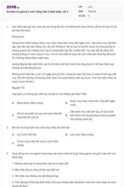 Đề kiểm tra giữa kì 2 môn Tiếng Việt 5 (Mới nhất)_ đề 9
