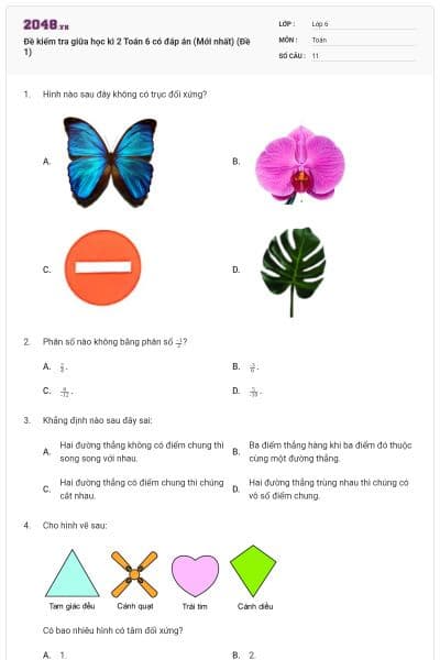 Đề kiểm tra giữa học kì 2 Toán 6 có đáp án (Mới nhất) (Đề 1)