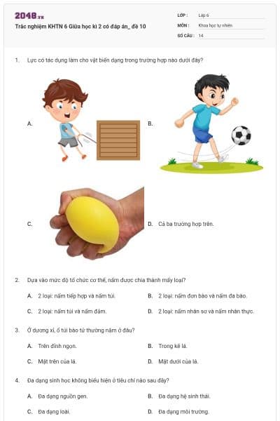 Trắc nghiệm KHTN 6 Giữa học kì 2 có đáp án_ đề 10