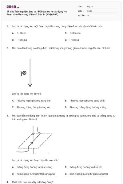 18 câu Trắc nghiệm Lực từ - Bài tập lực từ tác dụng lên đoạn dây dẫn mang điện có đáp án (Nhận biết)