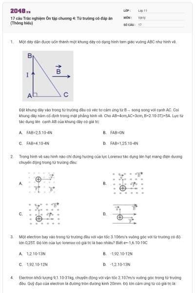 17 câu Trắc nghiệm Ôn tập chương 4: Từ trường có đáp án (Thông hiểu)