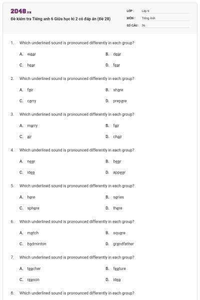 Đề kiểm tra Tiếng anh 6 Giữa học kì 2 có đáp án (Đề 28)