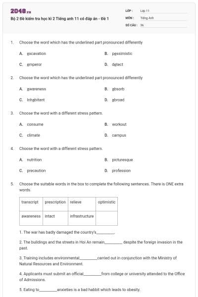 Bộ 2 Đề kiểm tra học kì 2 Tiếng anh 11 có đáp án - Đề 1