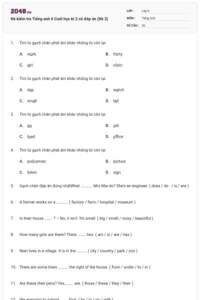 Đề kiểm tra Tiếng anh 6 Cuối học kì 2 có đáp án (Đề 3)