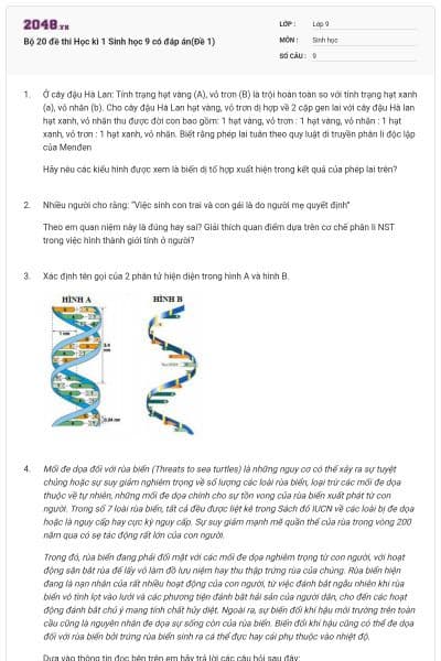 Bộ 20 đề thi Học kì 1 Sinh học 9 có đáp án(Đề 1)