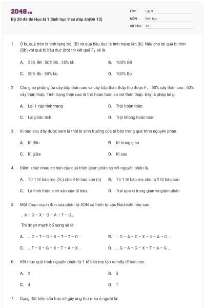 Bộ 20 đề thi Học kì 1 Sinh học 9 có đáp án(Đề 13)