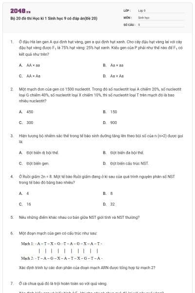 Bộ 20 đề thi Học kì 1 Sinh học 9 có đáp án(Đề 20)