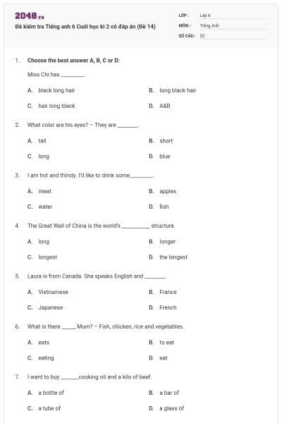 Đề kiểm tra Tiếng anh 6 Cuối học kì 2 có đáp án (Đề 14)