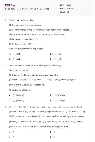 Bộ 20 đề thi Học kì 1 Sinh học 11 có đáp án (đề 12)