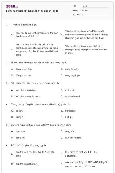 Bộ 20 đề thi Học kì 1 Sinh học 11 có đáp án (đề 16)