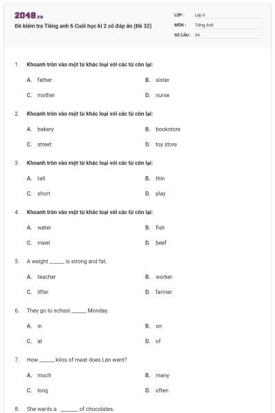 Đề kiểm tra Tiếng anh 6 Cuối học kì 2 có đáp án (Đề 32)
