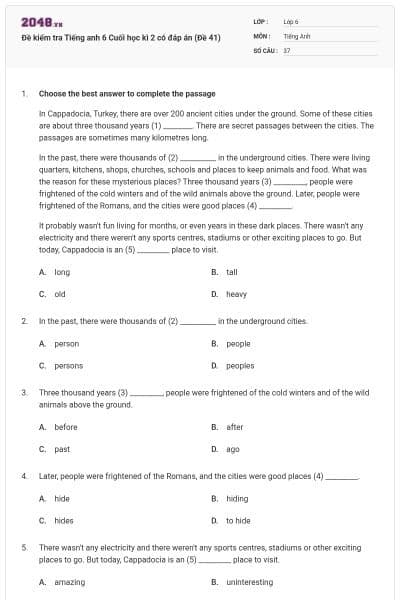 Đề kiểm tra Tiếng anh 6 Cuối học kì 2 có đáp án (Đề 41)