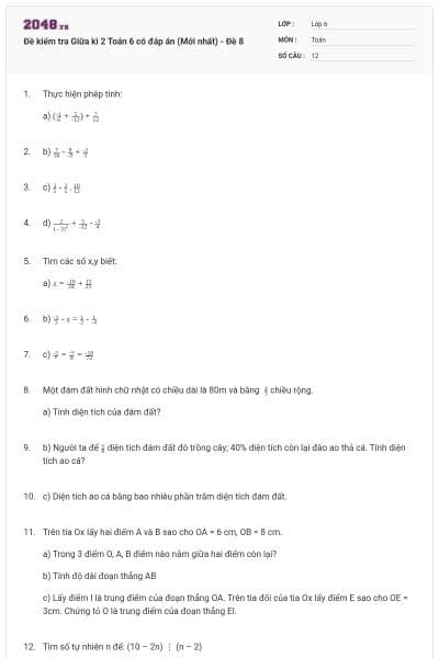 Đề kiểm tra Giữa kì 2 Toán 6 có đáp án (Mới nhất) - Đề 8