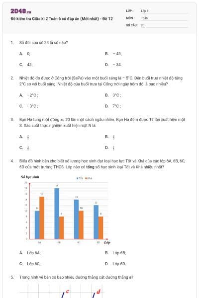 Đề kiểm tra Giữa kì 2 Toán 6 có đáp án (Mới nhất) - Đề 12