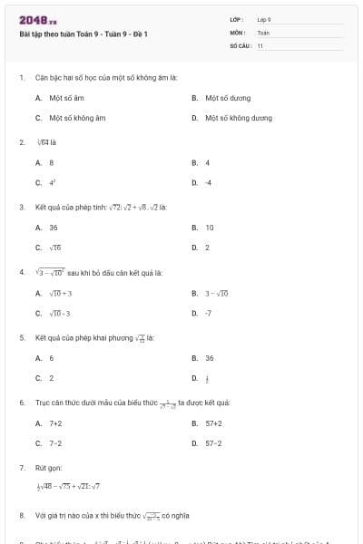 Bài tập theo tuần Toán 9 - Tuần 9 - Đề 1