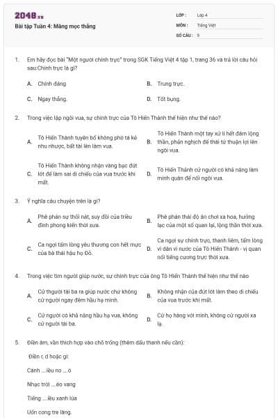 Bài tập Tuần 4: Măng mọc thẳng