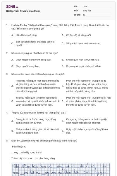 Bài tập Tuần 5: Măng mọc thẳng