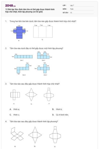 12 Bài tập Xác định tấm bìa có thể gấp được thành hình hộp chữ nhật, hình lập phương (có lời giải)